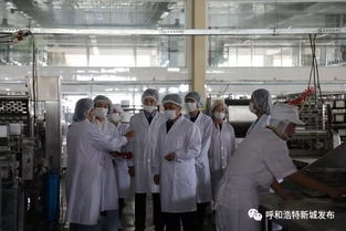 新城區市場監督管理局開展食品生產廠專項檢查，筑牢餐飲安全防線